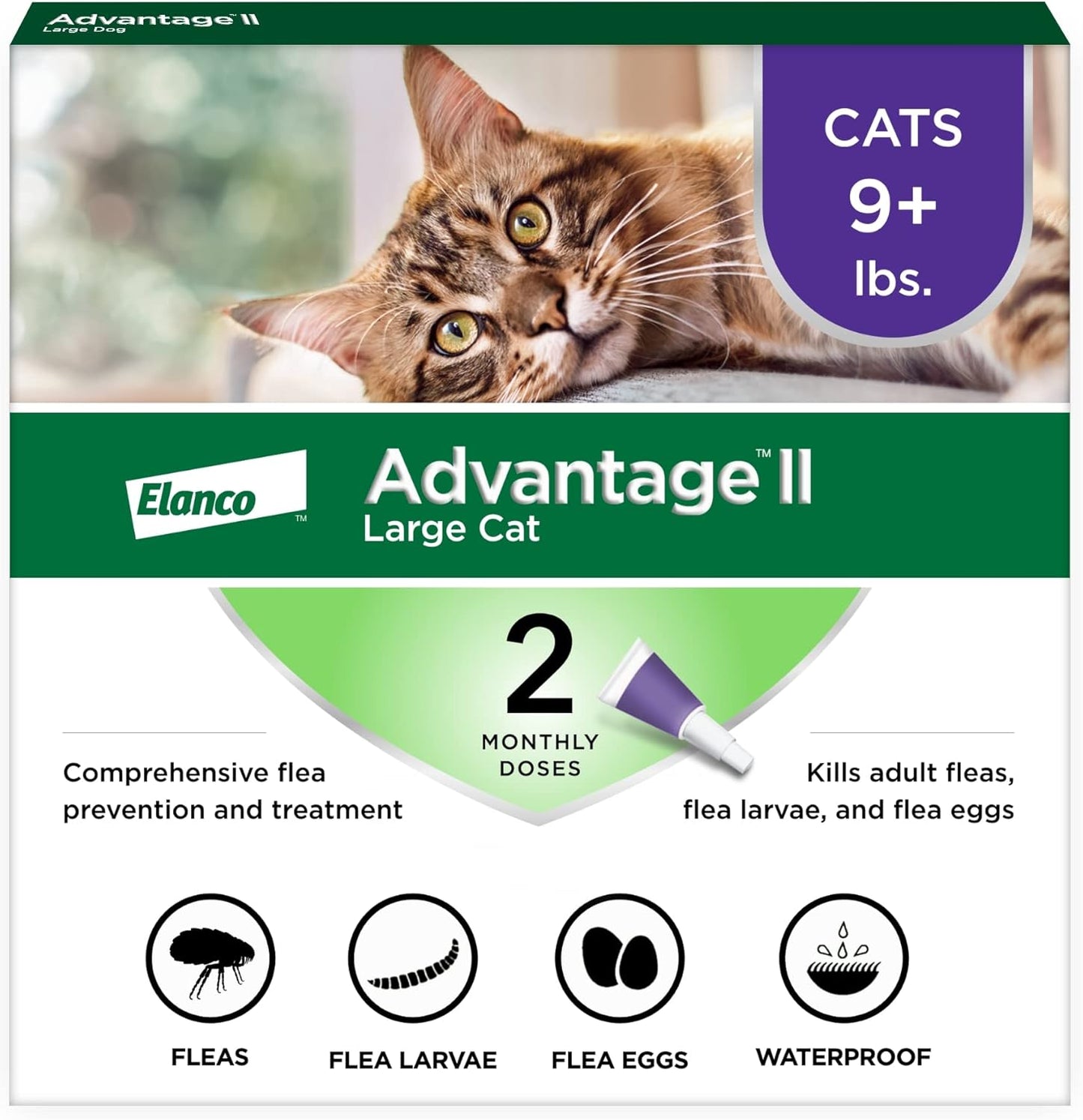 Advantage II Large Cat Flea Treatment for Cats Over 9 lbs
