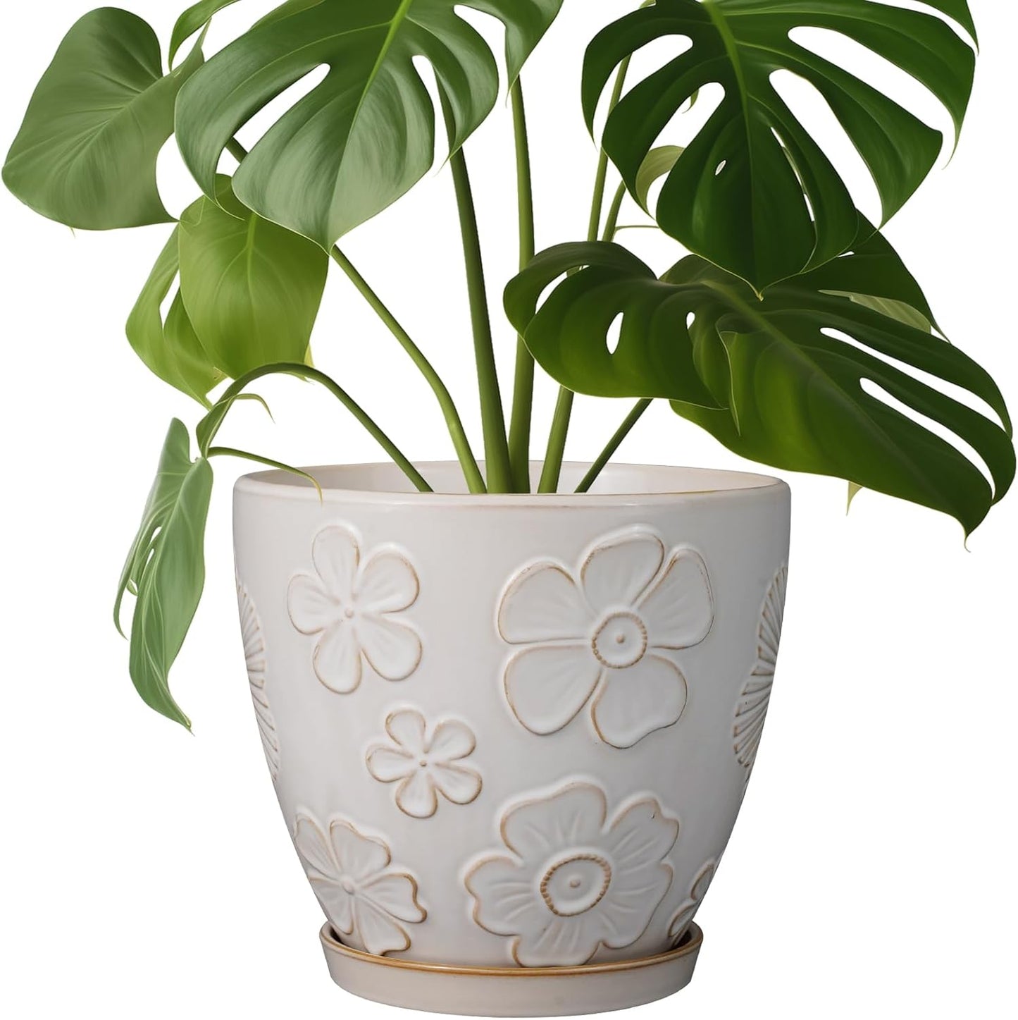 Ceramic Planter 8 Inch Pot with Drainage Hole for Home Decor