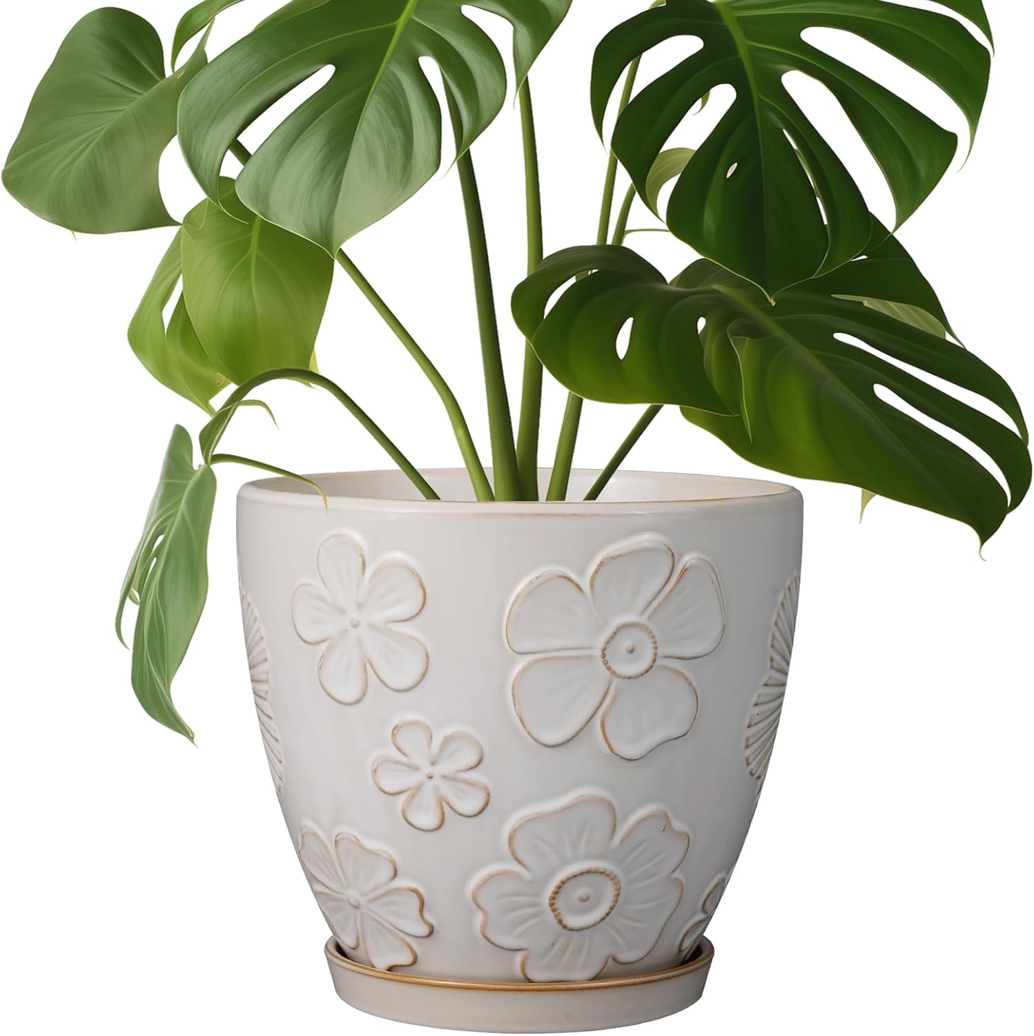 Ceramic Planter 8 Inch Pot with Drainage Hole for Home Decor