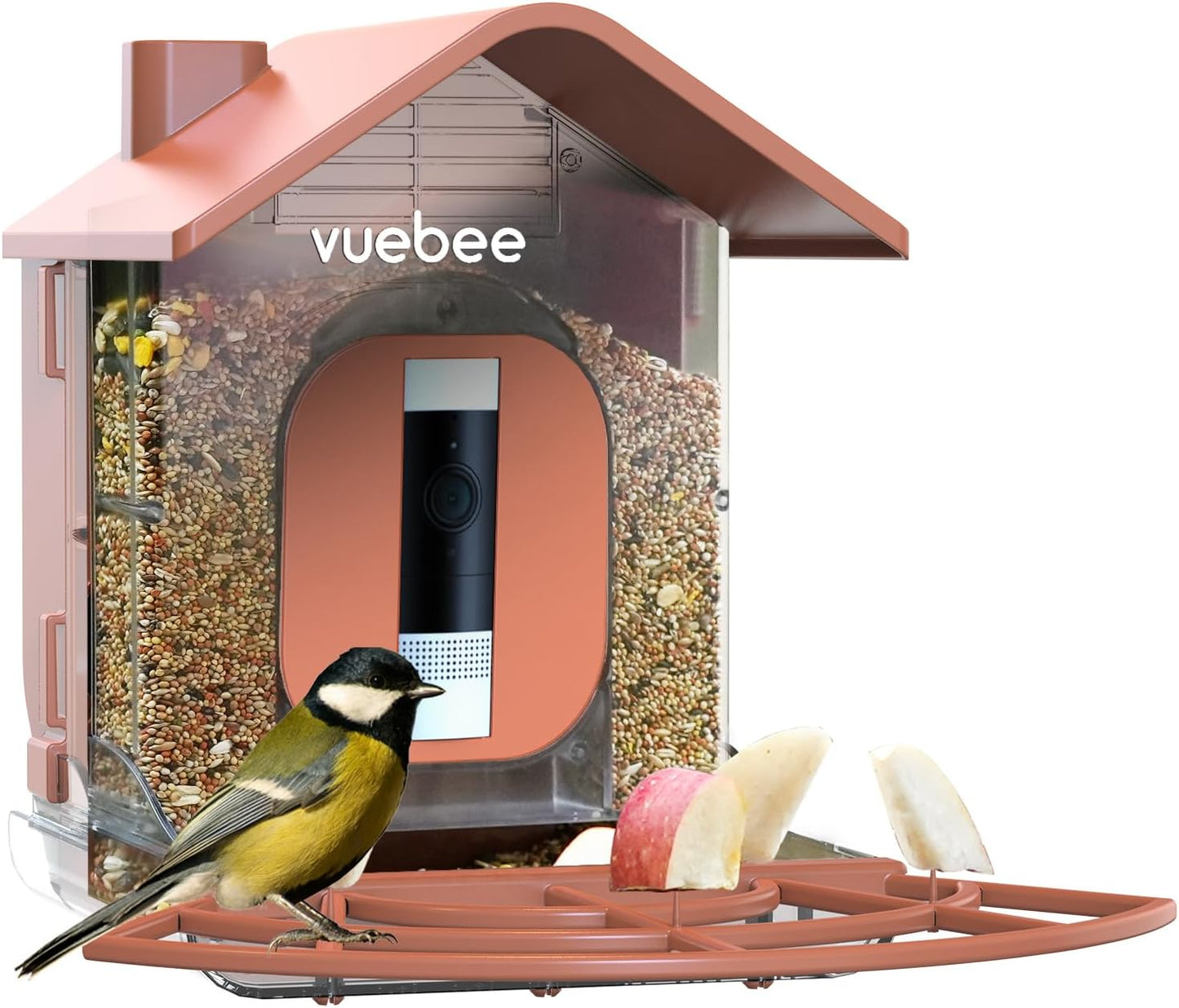 Capture Birds Up-Close with VUEBEE Bird Feeder Camera