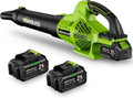 Leaf Blower Cordless 21V Electric with 2 Batteries - Powerful