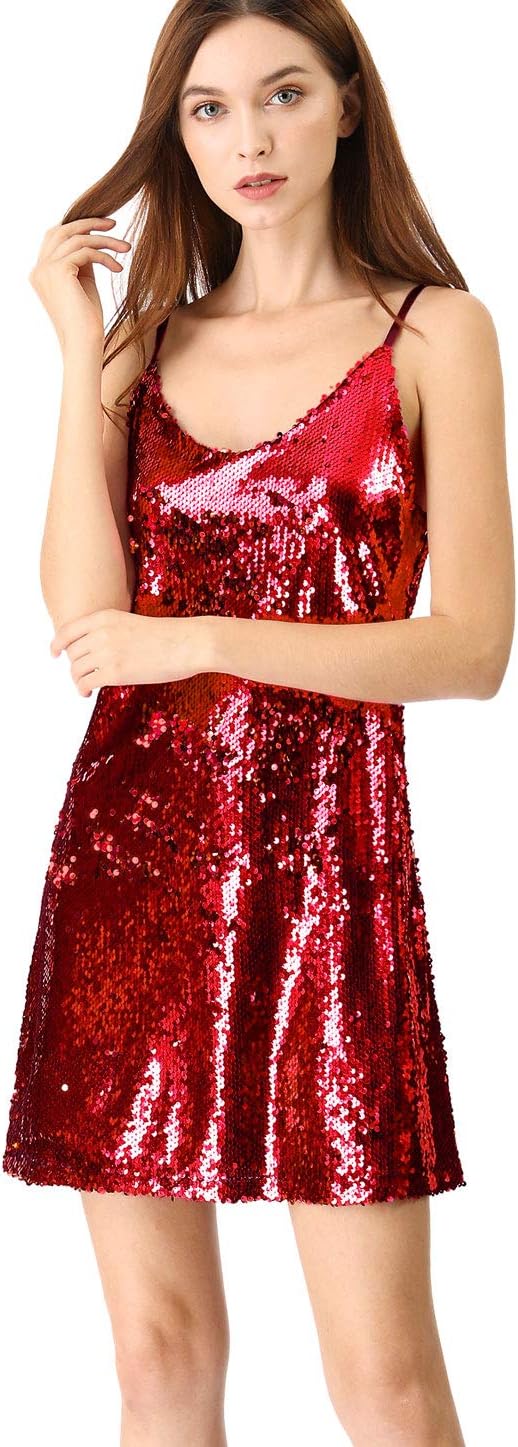 Stunning Glitter Sequin Dress for Women by Allegra K