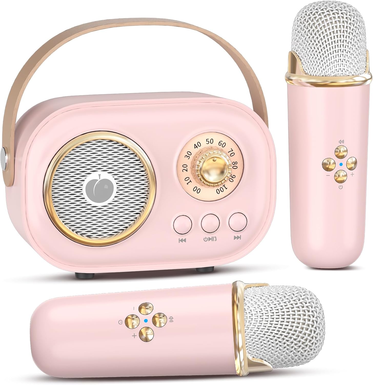 Portable Karaoke Fun for All Ages!