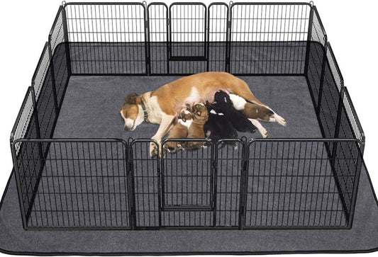 Extra Large Washable Pee Pads for Dogs - Waterproof Pet Mat