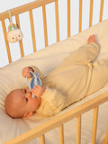 Calming Baby Soothers by Smily Mia