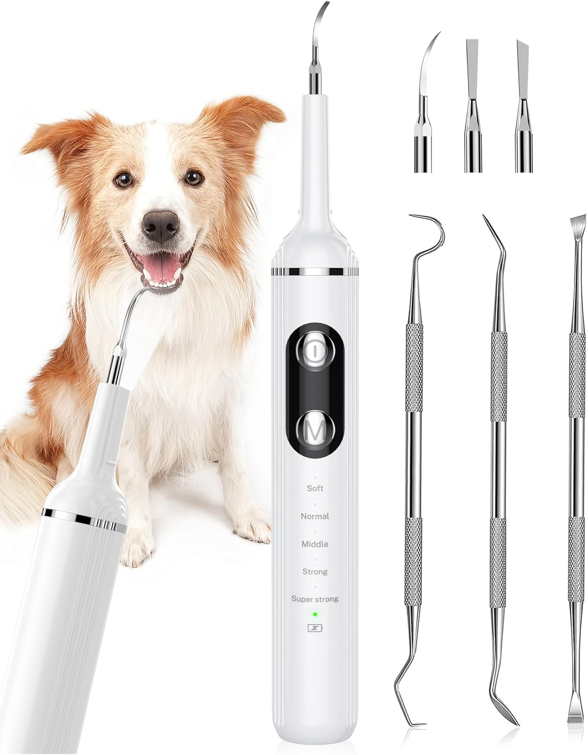 Plaque Remover for Teeth with LED Light for Dogs and Cats