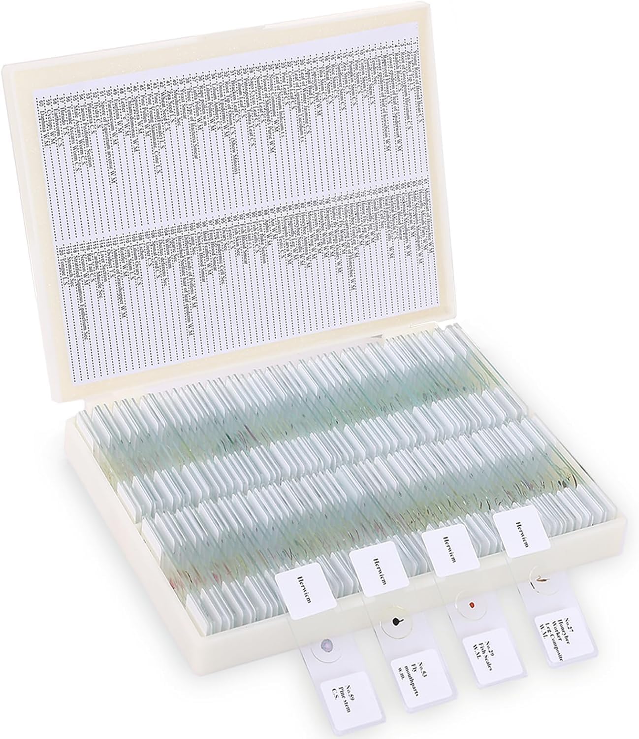120-Pcs Microscope Slides with Specimens for Young Scientists