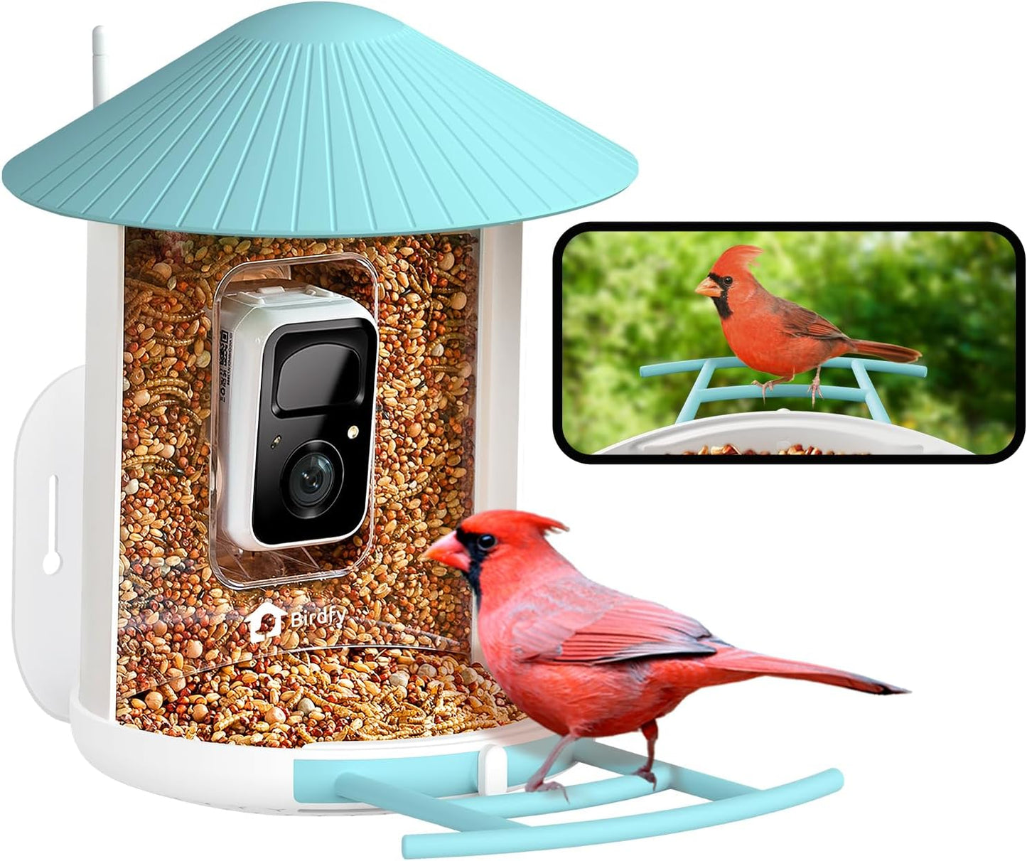 NETVUE Smart Bird Feeder - Auto-Capture Videos