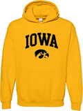 UGP Campus Apparel NCAA Team Color Arch Logo Hoodie (Style MLRF)