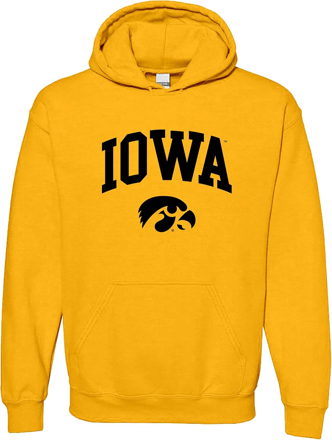 NCAA Officially Licensed College Team Color Arch Logo Hoodie