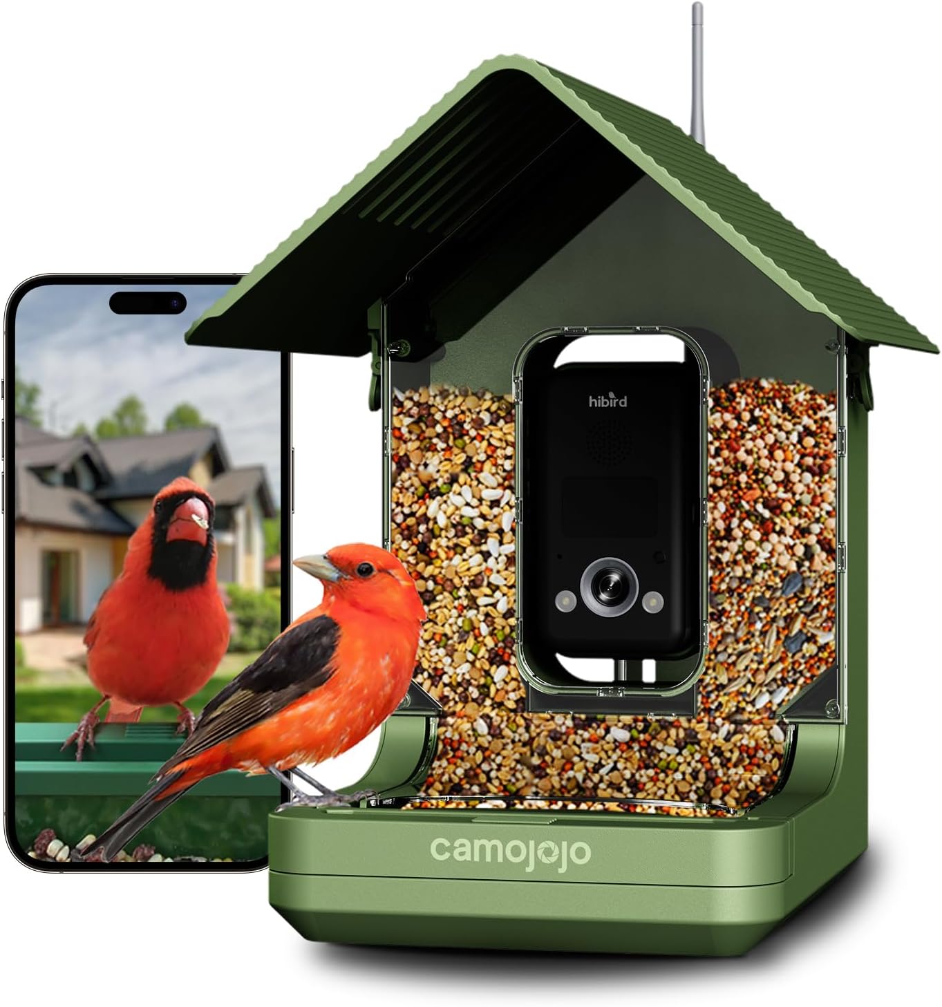 Capture 4K Bird Videos Live!
