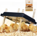 Brooder Heater for Chicks 10in x 10in - Adjustable Warmth for 15
