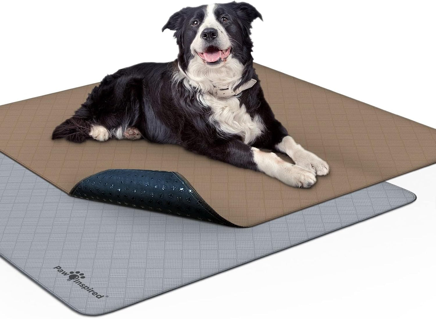 Paw Inspired Washable Pee Pads for Dogs - Leakproof & Durable