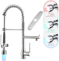 Kitchen Faucet with LED Single Handle Pull Down Sprayer - High
