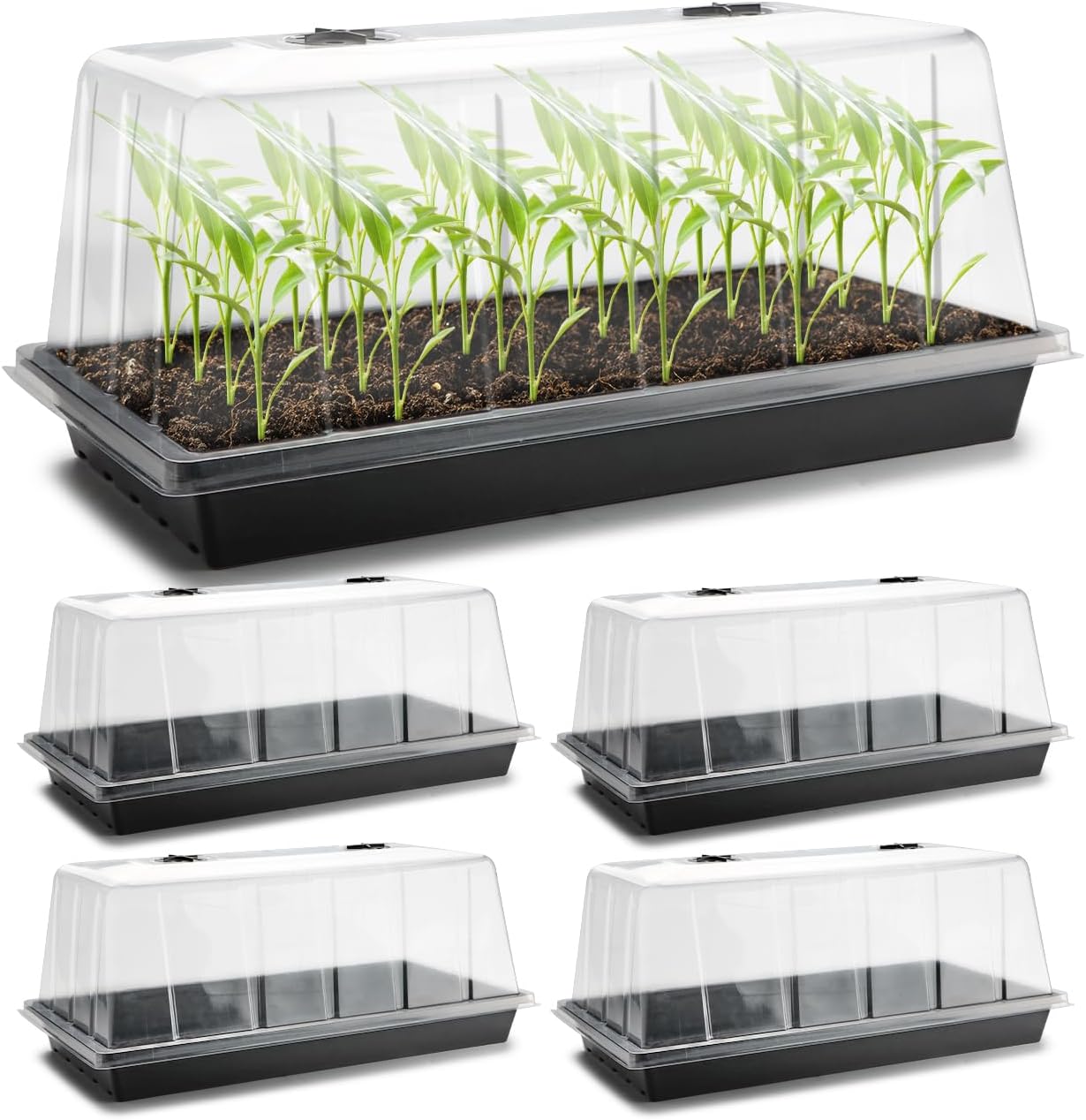 1020 Plant Tray with 7.3ft' Dome for Seed Germination Success