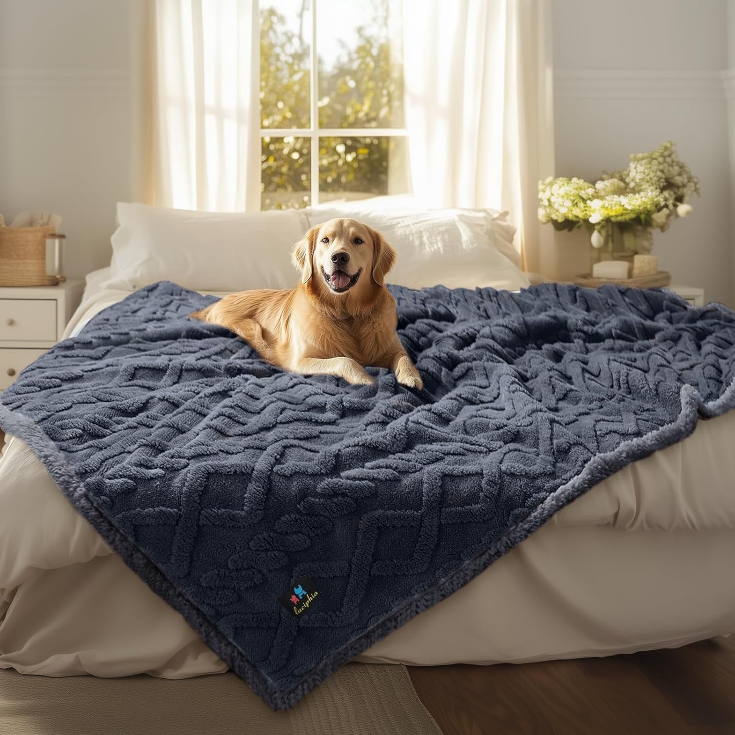 Waterproof Pet Blanket for Dogs and Cats, X-Large Size