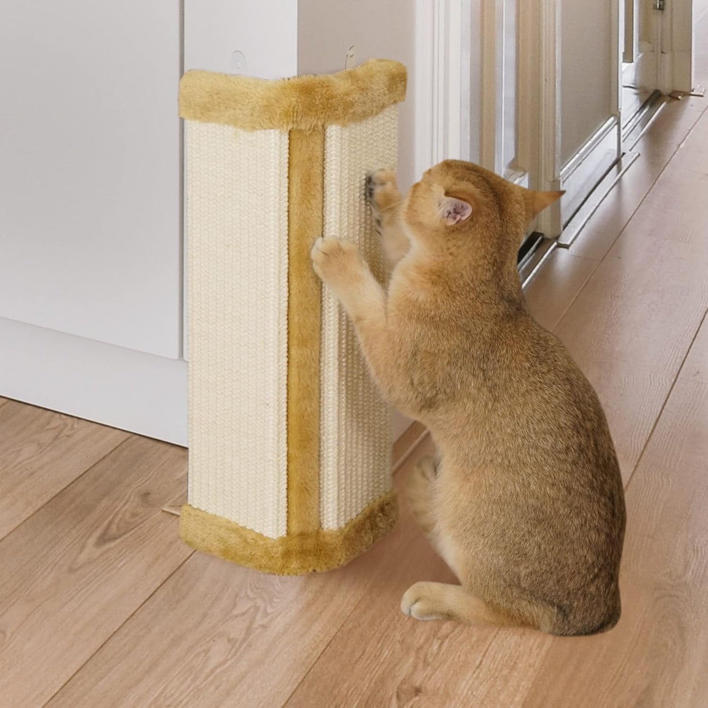 Lahas Cat Wall Corner Scratcher for Kittens and Small Cats