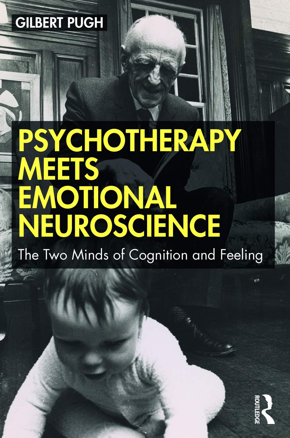 Psychotherapy Meets Emotional Neuroscience: Understanding Minds