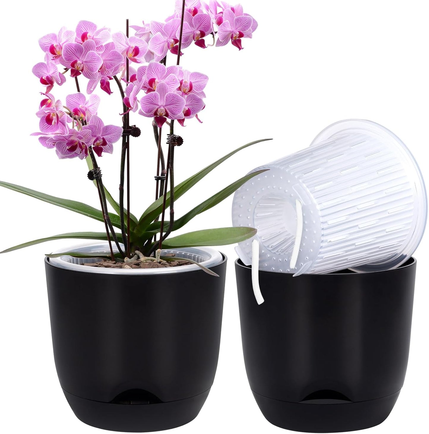 QCQHDU Orchid Pots with Holes for Repotting and Self Watering