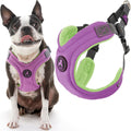 Gooby Escape Free Memory Foam Harness for Small Dogs in Purple