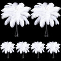 Tigeen 200 Pcs Ostrich Feathers Bulk 12-14 in Plumes - Elegant Decor