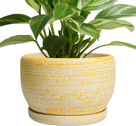 SQOWL Ceramic Flower Pots - 8 inch Indoor Plant Pot with Saucer