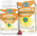 Urolithin A Supplement 2000MG for Mitochondria, Energy - 60-Day