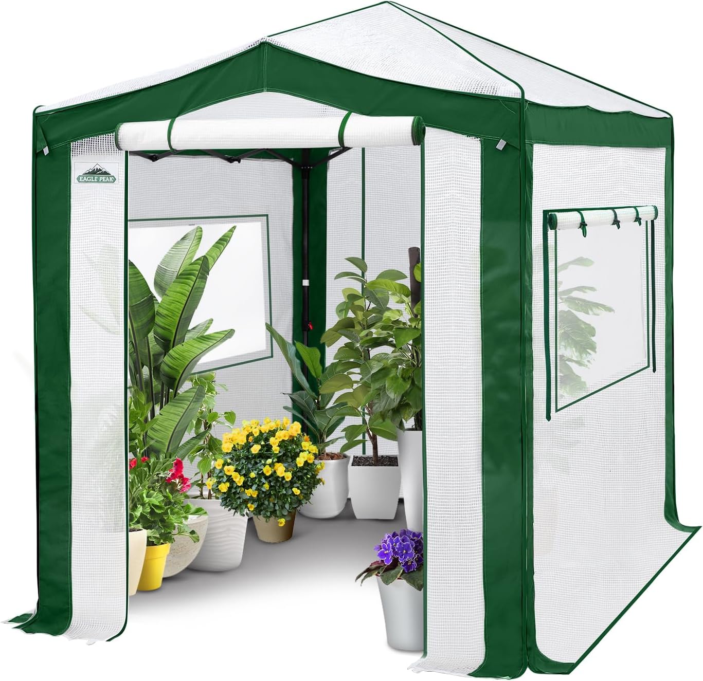 EAGLE PEAK 8x6 Portable Walk in Greenhouse for Gardening