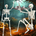 6Ft Halloween Skeleton Decoration Posable Life Size Skeleton - Creepy