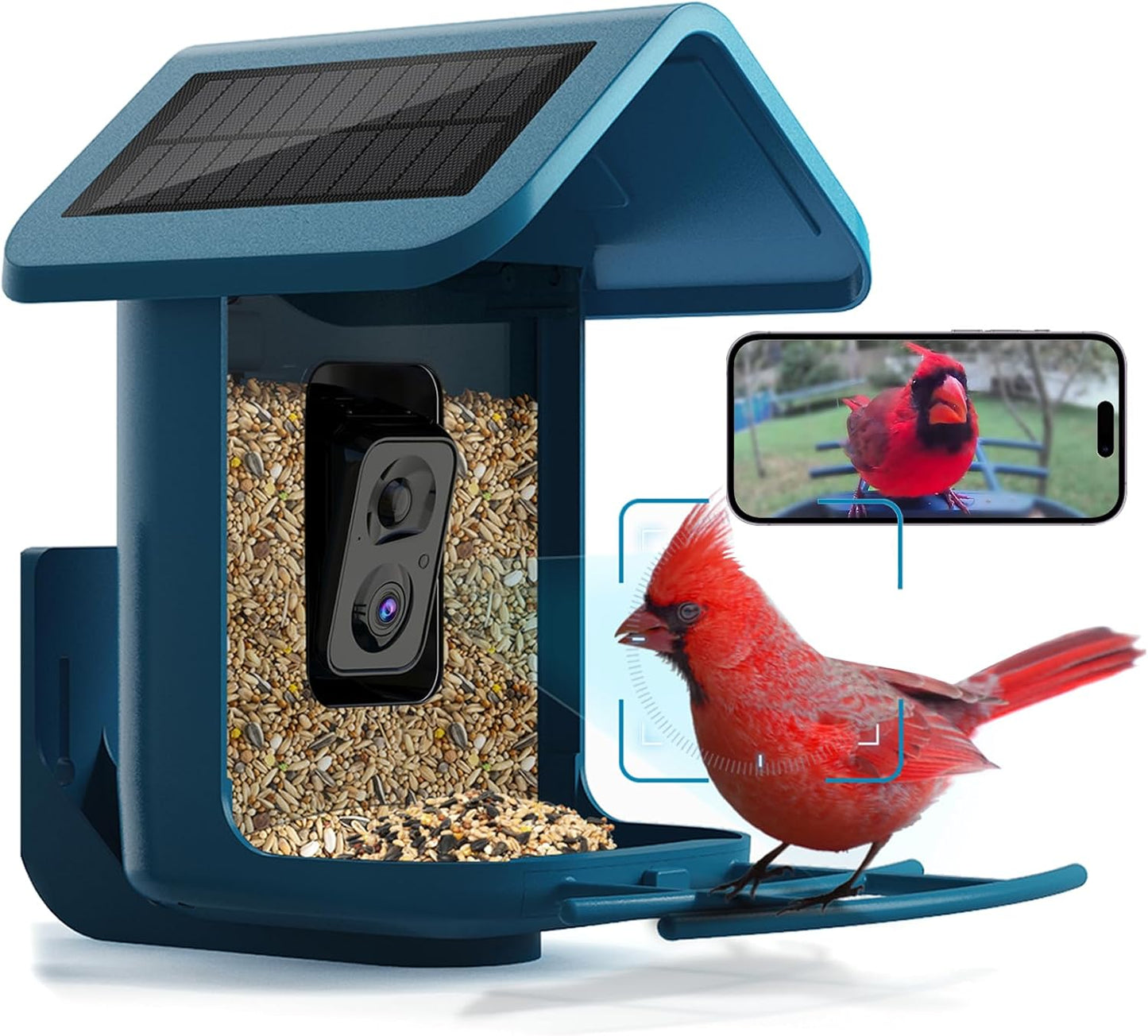 Smart Solar Bird Feeder with 2K Live Cam