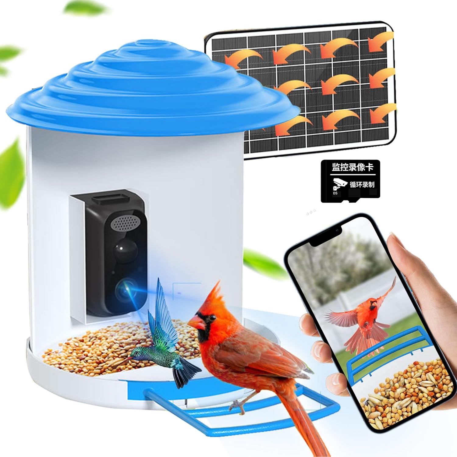 Smart Bird Feeder with Camera - Capture Bird Videos