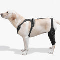 Dog Knee Brace with Adjustable Support for ACL & CCL Recovery - Left L