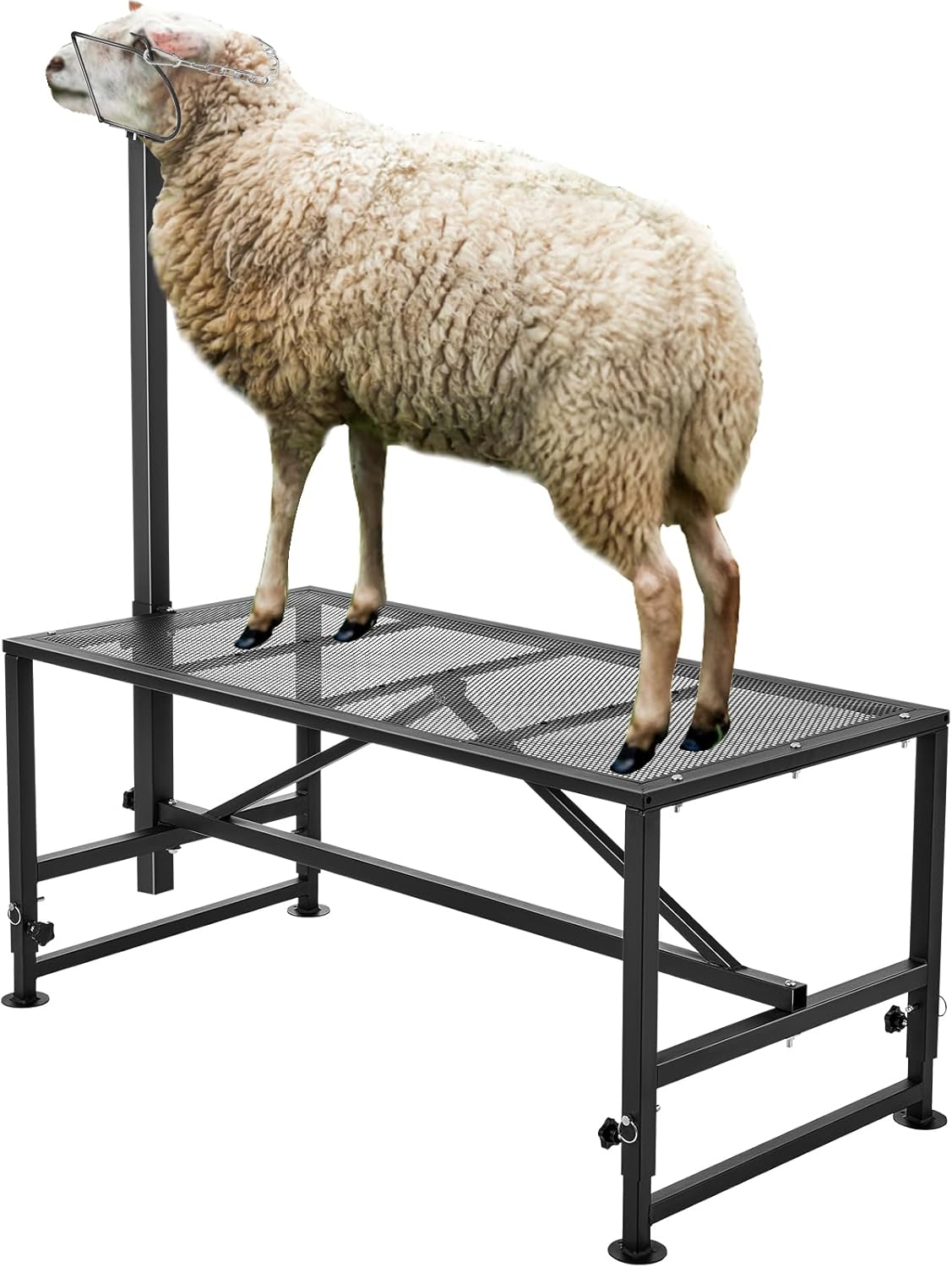 VEVOR Sturdy Sheep Stand - Adjustable Height Livestock Trimming
