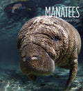 Manatees Living Wild: Discover the Gentle Giants of the Sea