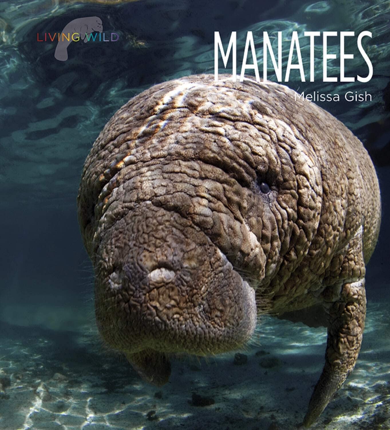 Manatees Living Wild: Discover the Gentle Giants of the Sea