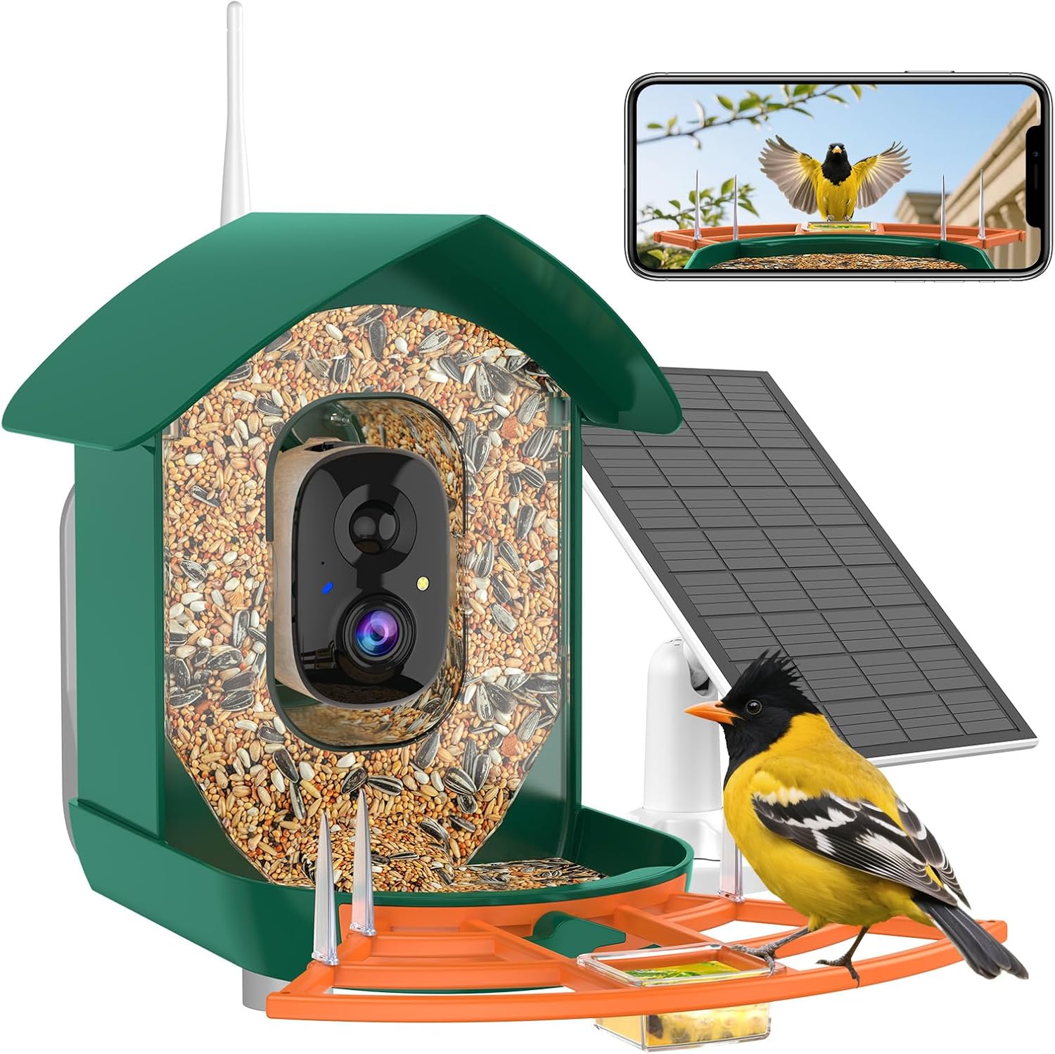Bird Feeder with Camera for Outdoor Birdwatching and AI Features