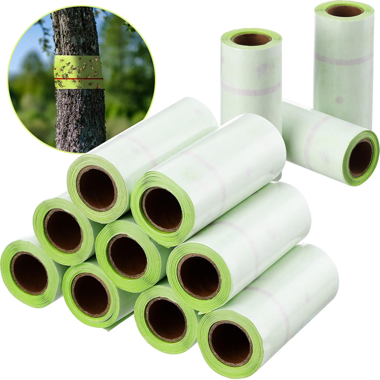 Spotted Lantern Fly Tree Trap - 12 Rolls for Indoor Outdoor Use