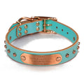 Handmade Studded Bridle Leather Dog Collar Robin's Egg Blue - Copper
