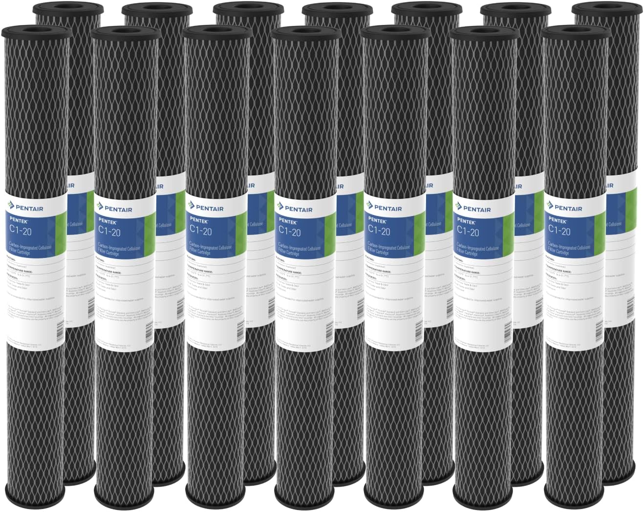 Pentair Pentek C1-20 Carbon Water Filter for Whole House Use