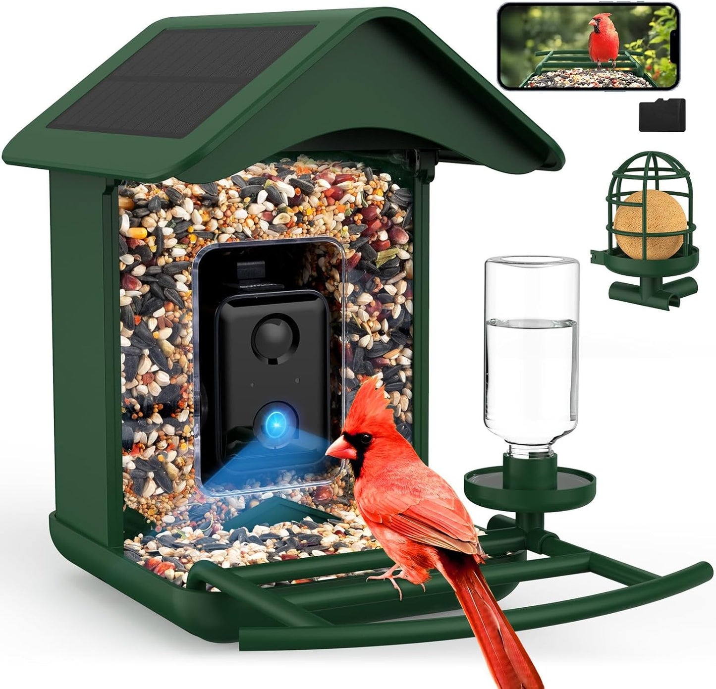 AI Smart Bird Feeder: 10K Species, 1080P Camera, Solar-Powered