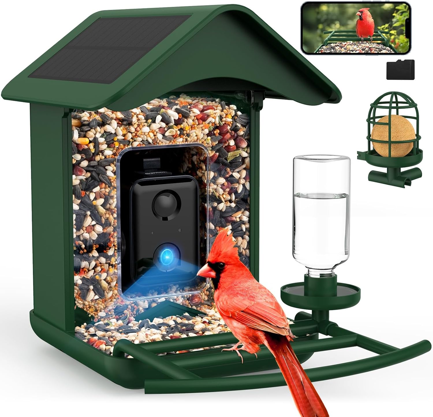 AI Smart Bird Feeder: 10K Species, 1080P Camera, Solar-Powered