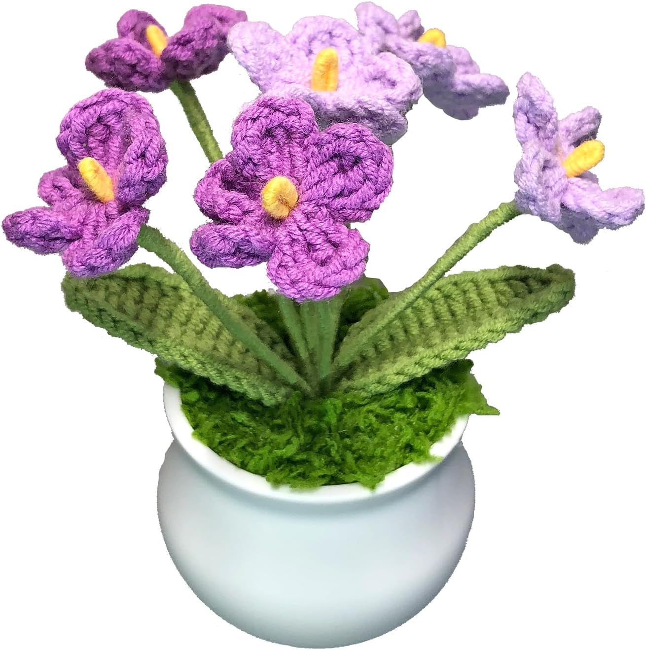 Purple Myosotis Potted Flower: Gifts for All Occasions