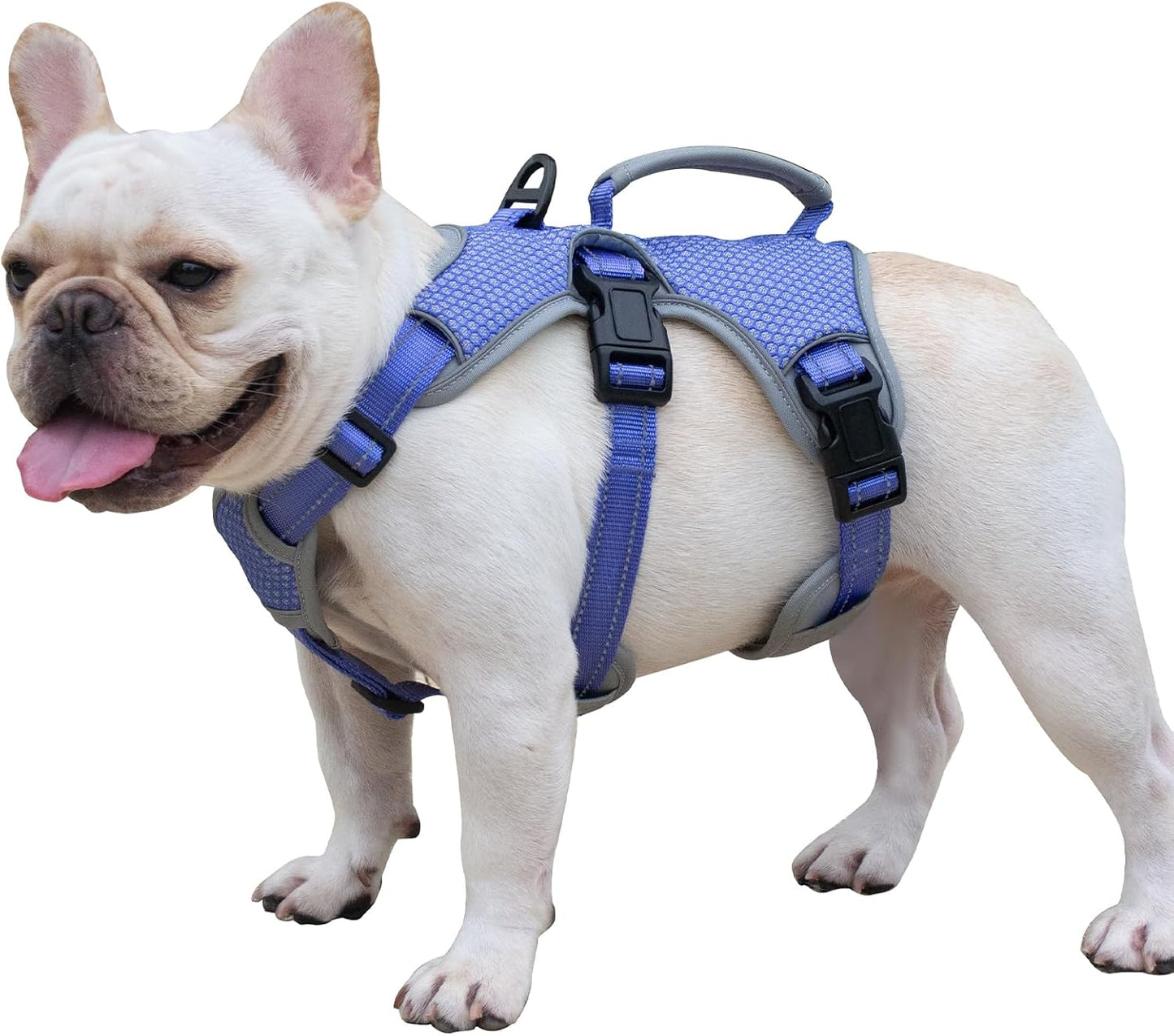 Escape Proof Dog Harness for Safe Walking and Training Gear