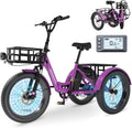 MOONCOOL Adult Electric Tricycle with Detachable Battery System
