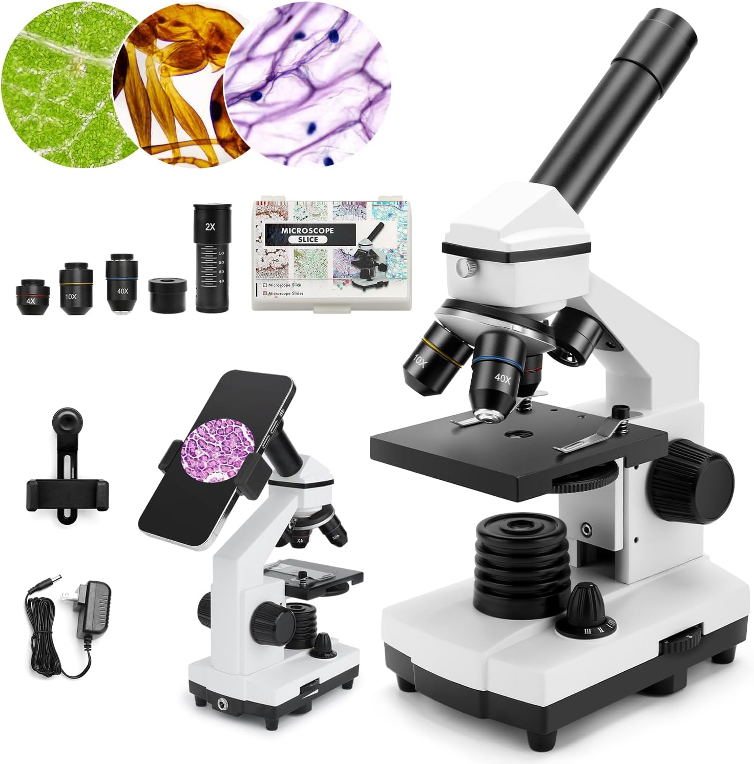 Powerful Biological Microscope for Adults and Kids Exploration