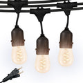 Brightech Ambience Pro Waterproof LED Outdoor String Lights - 48 ft