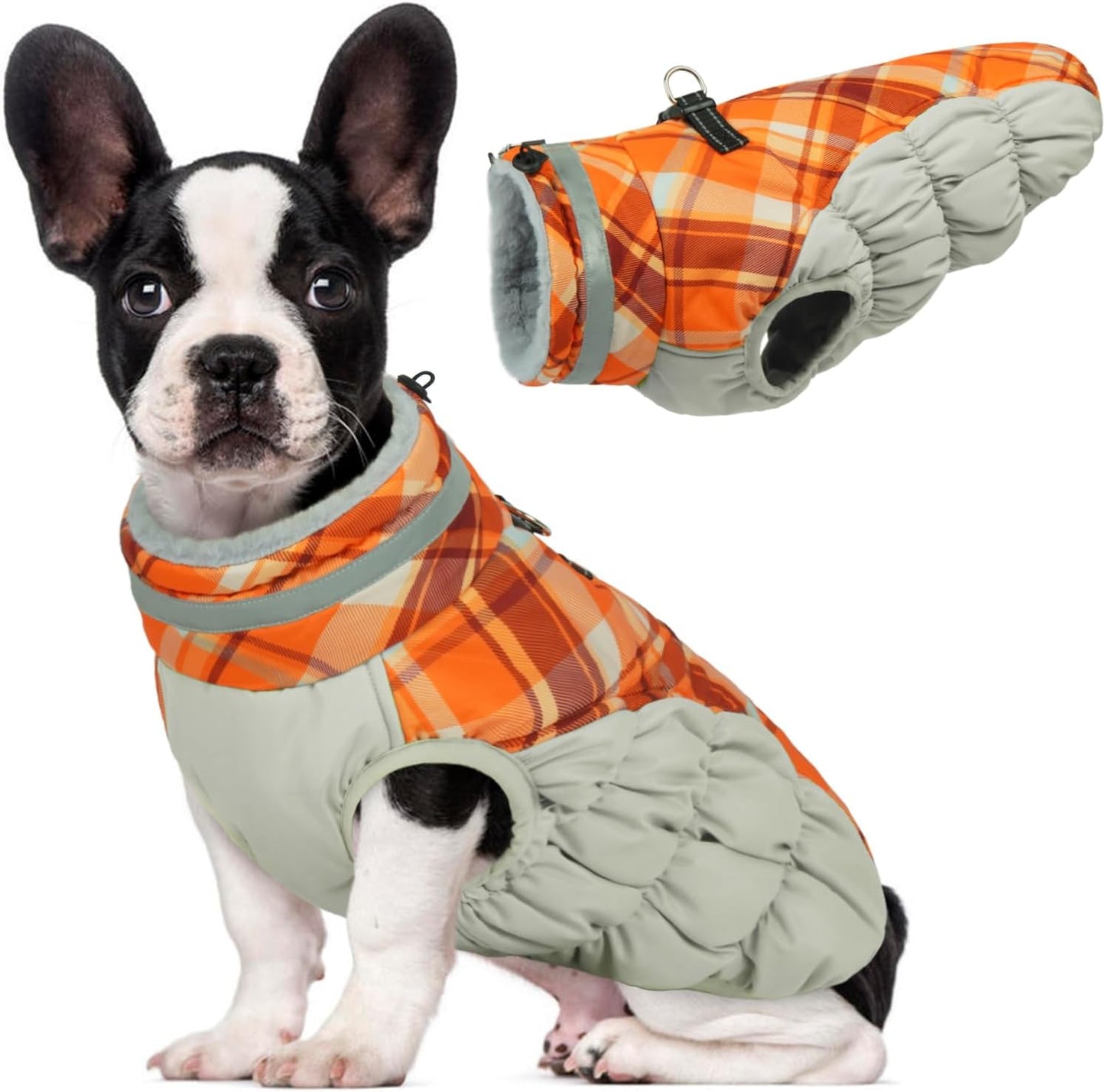 Lelepet Warm Dog Winter Coat for Medium Dogs - Waterproof Jacket