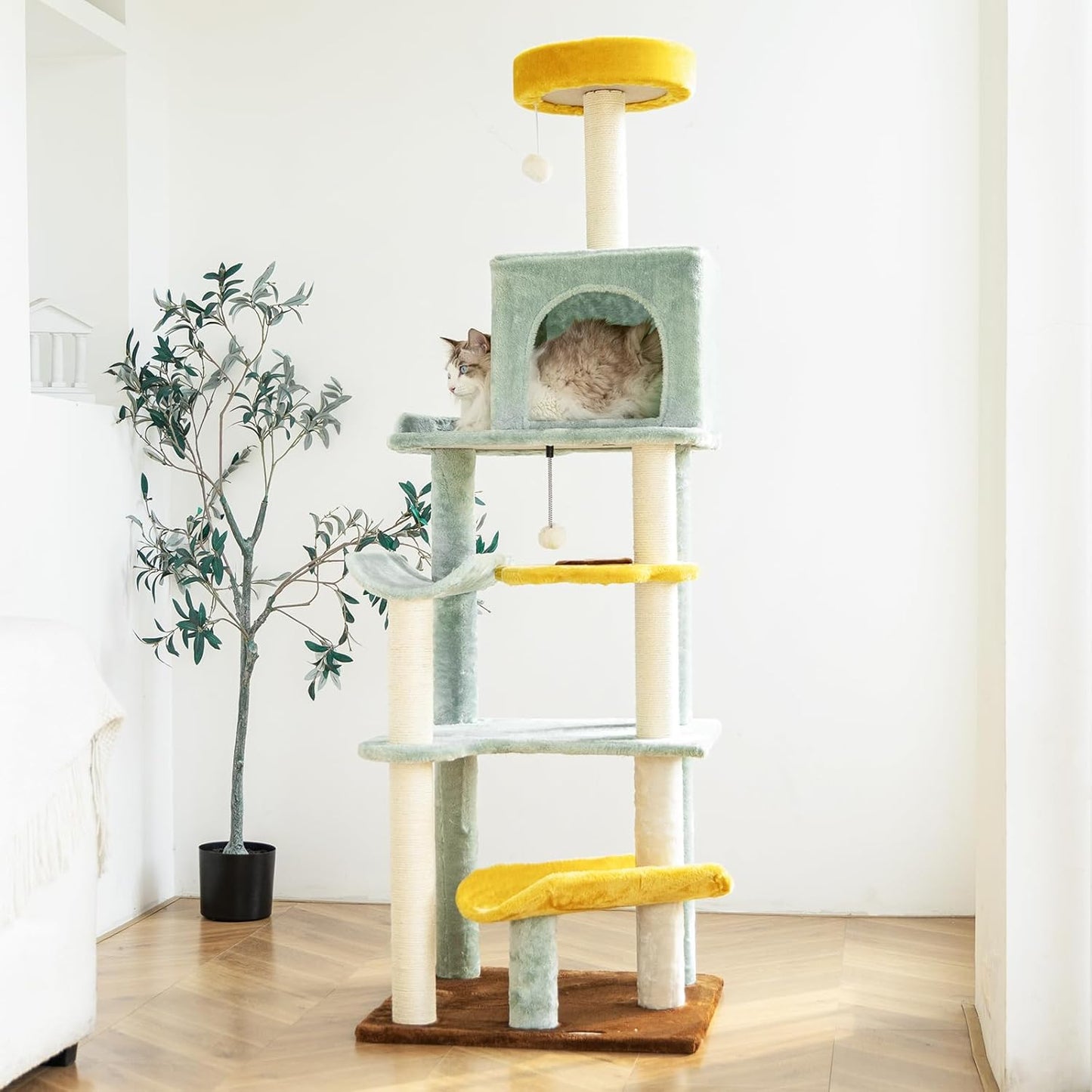 Multi-Level Cat Condo with Plush Scratching Posts for Cats