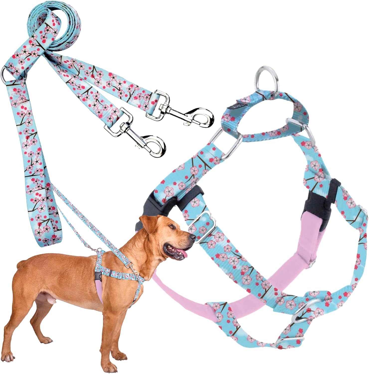Freedom No-Pull Harness & Training Leash for Large Dogs