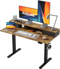Agilestic Electric Standing Desk with Drawers for Home Office